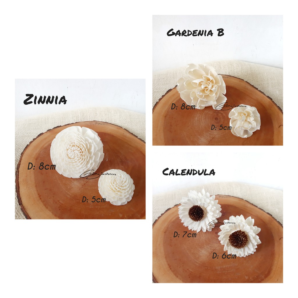 Sola Wood Flower Part 3 | Bunga Sola | Sola Flower