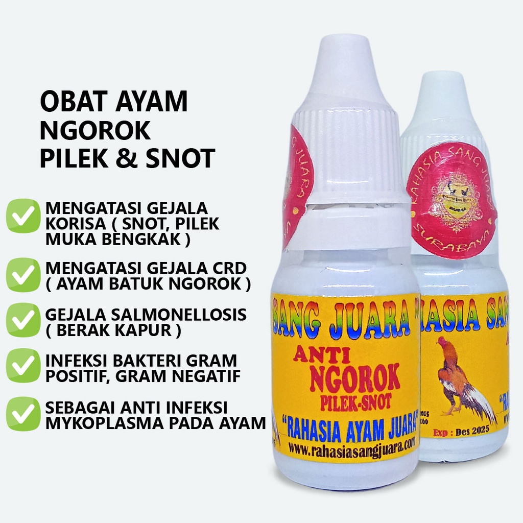 OBAT AYAM NGOROK DAN PILEK OBAT NGOROK AYAM BANGKOK AMPUH MENGATASI AYAM NGOROK DAN PILEK