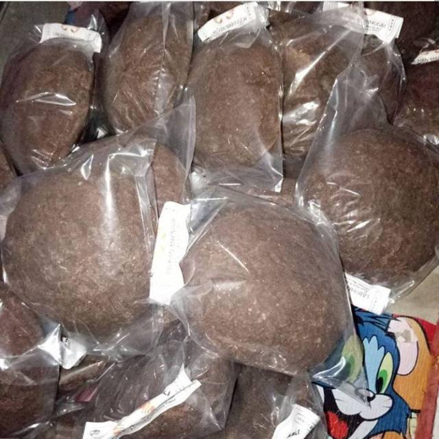 Terasi asli lampung