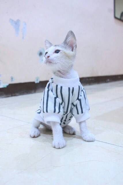 Kaos lengan panjang strip hitam putih untuk kucing dan anjing / baju kucing murah size S M L XL