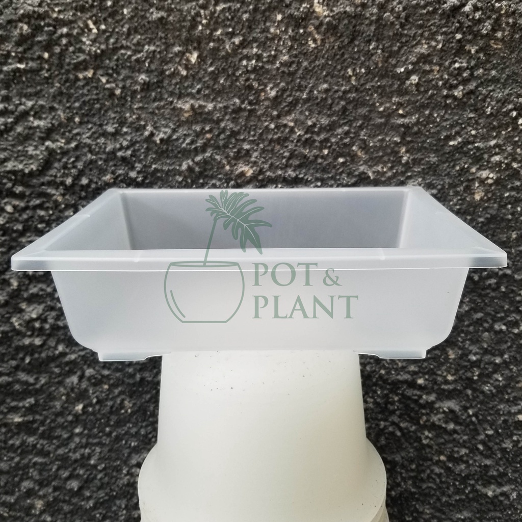 Pot Plastik Ceper NKT Bonsai 02 - BENING / TRANSPARAN