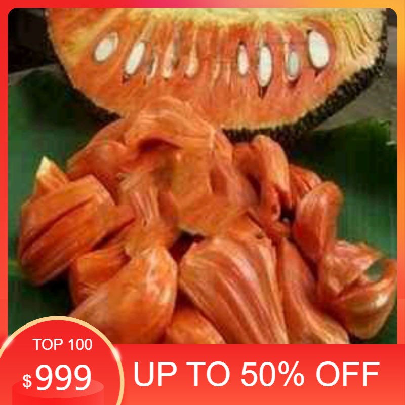 

NANGKA MERAH