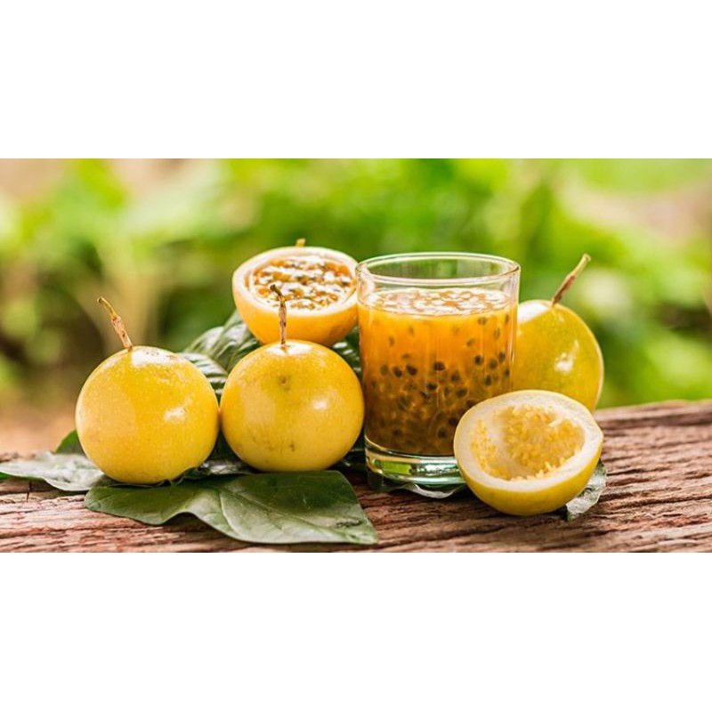 

Buah markisa kuning matang fresh 500 gram