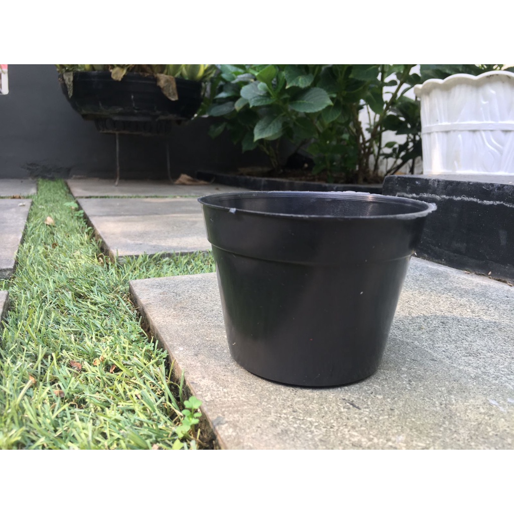 Pot Bunga Murah/ Pot Tanaman / Pot  Plastik hitam uk 10 cm