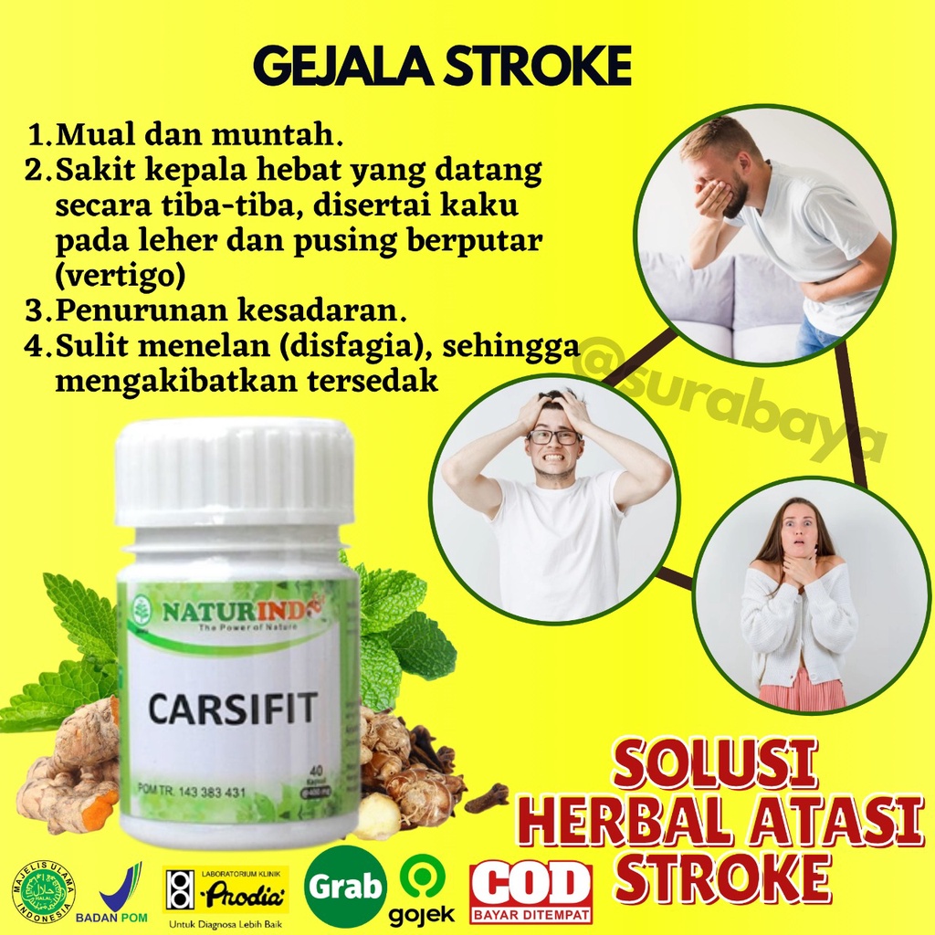 Obat Stroke Ampuh Obat Struk Stroke Ringan Strok Menahun Lumpuh Separo Sebelah obat herbal Paska stroke gejala sulit bicara kaku tangan kaki serta saraf otak Herbal Sambiloto Ampuh Jamu Herbal Strok Lumpuh Tradisional Carsifit Naturindo Surabaya 40 Kapsul-3