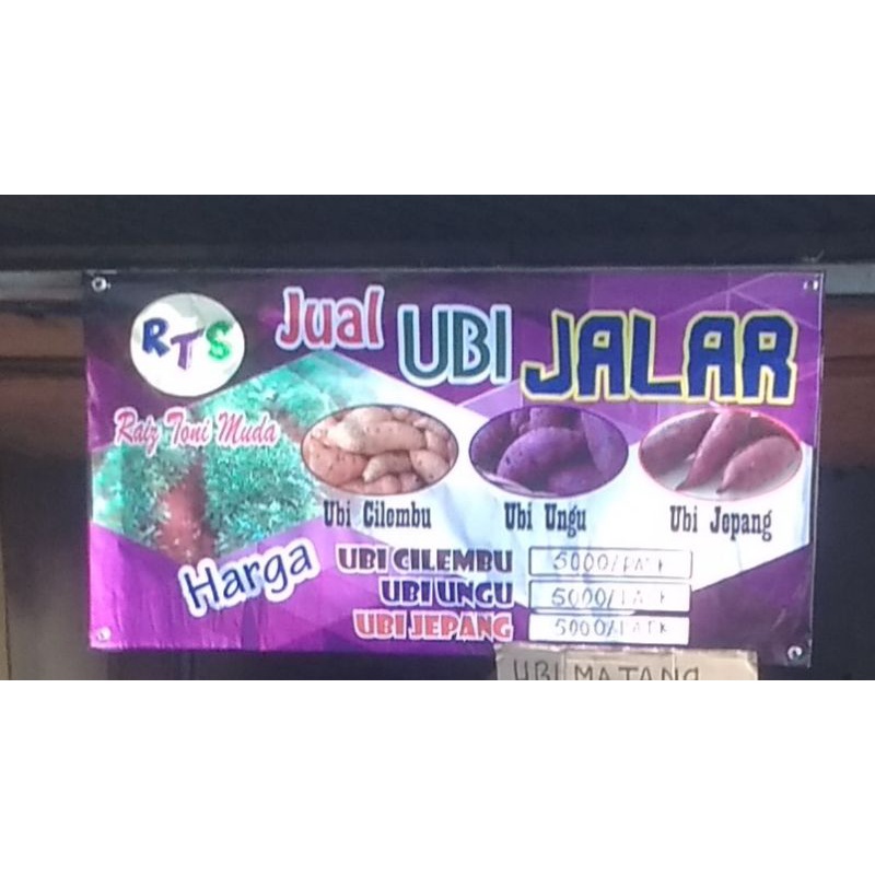 

UBI JALAR ARRAIS