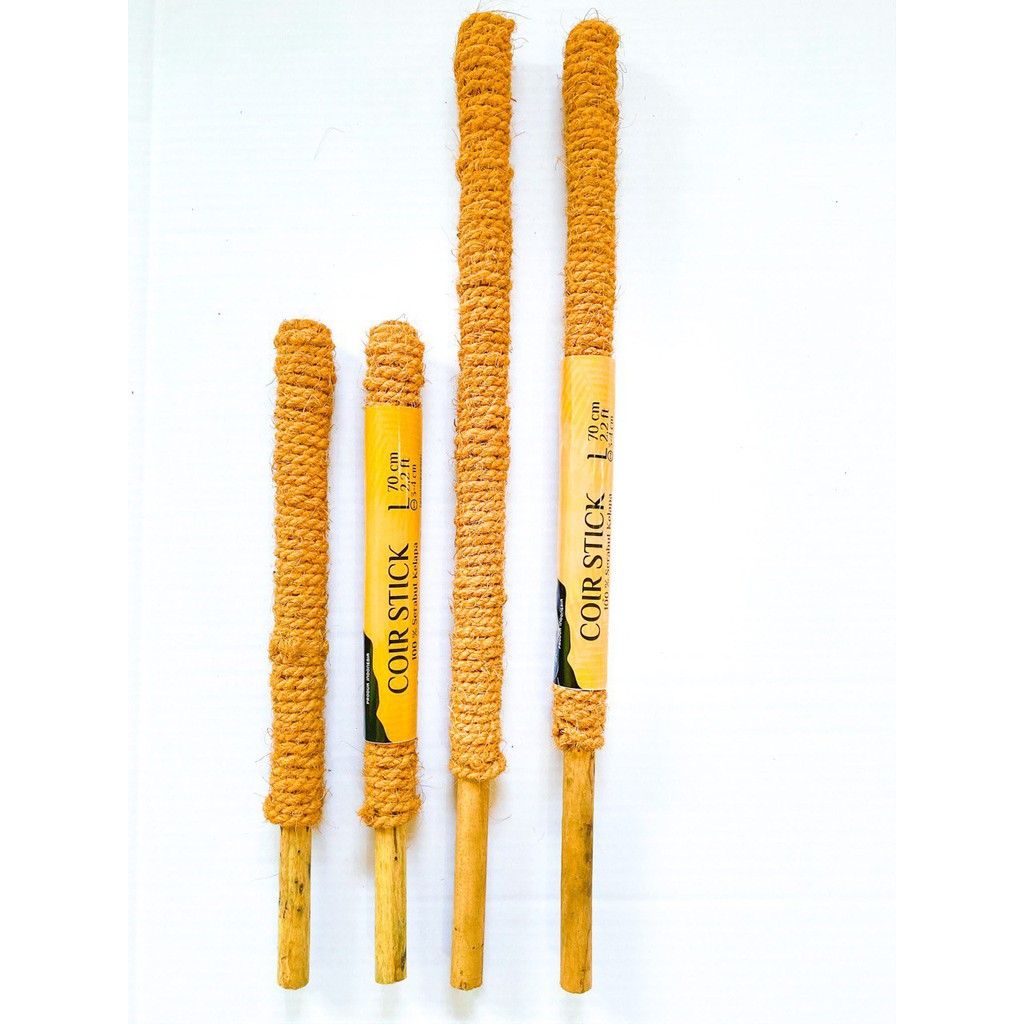 Coir Stick Tongkat Rambat Tanaman
