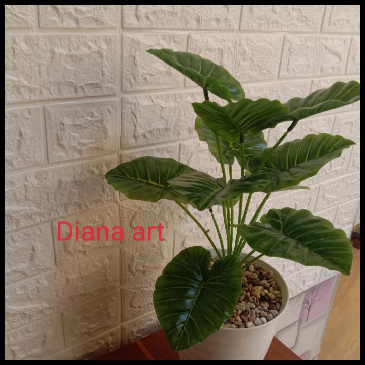 Pohon Keladi#Daun Keladi#Tanaman Keladi#Monstera Plastik#Tanaman Hias - Keladi Latex
