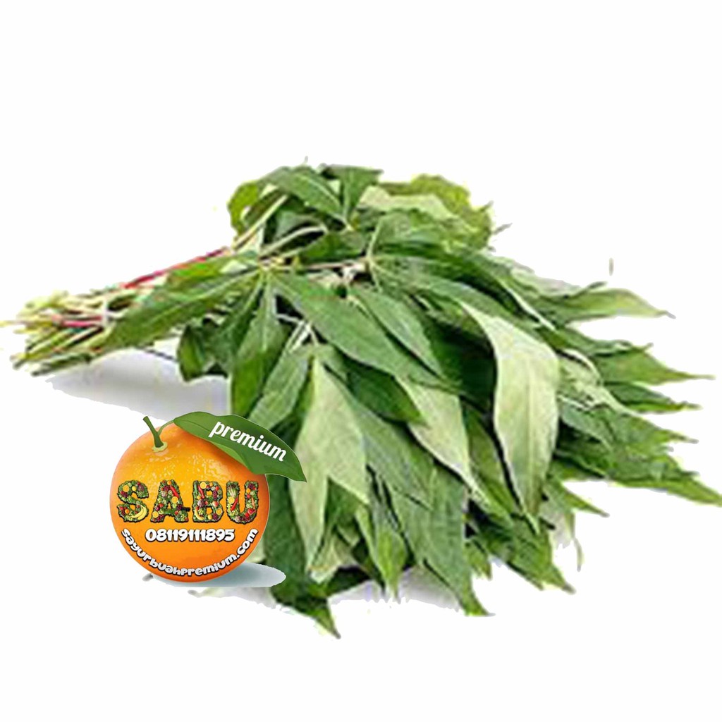 Sayur Daun Singkong SEGAR