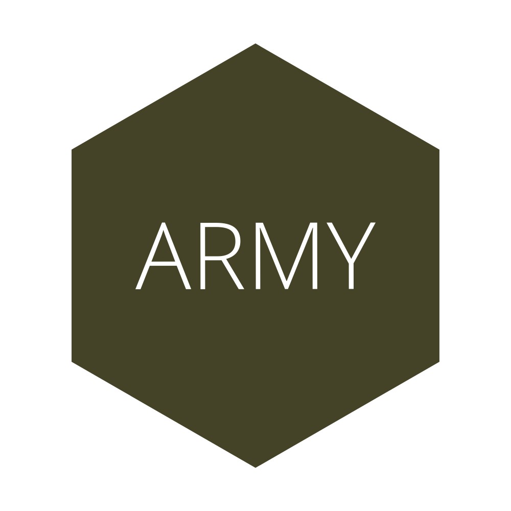 Hijab Pashmina Diamond Nasywa Style-ARMY