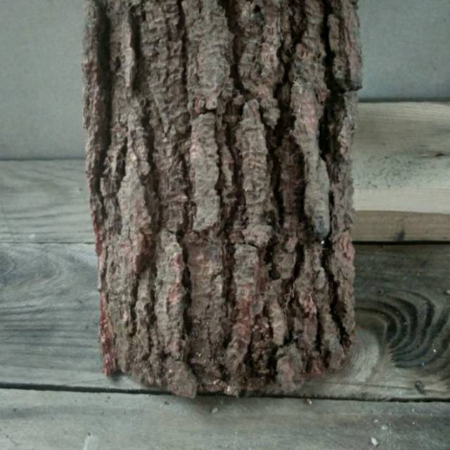 MEDIA TANAM ANGGREK - KULIT PINUS