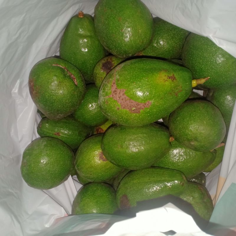 

AlpukatMentega1kg
