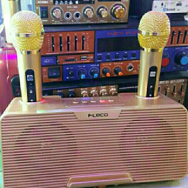 TERLARIS SPEAKER BLUETOOTH KARAOKE FLECO SD302 / SPEAKER FLECO SD 302 KARAOKE PORTABLE FREE MIC 302