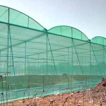 insect net / kasa hijau / screen per meter (lebar 1 meter)