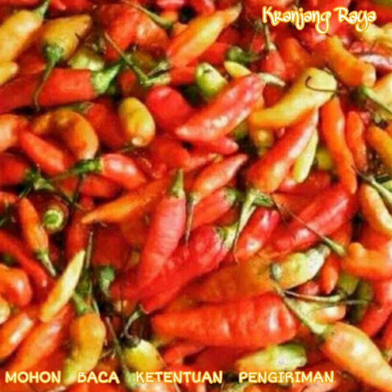 

Cabe Rawit Merah