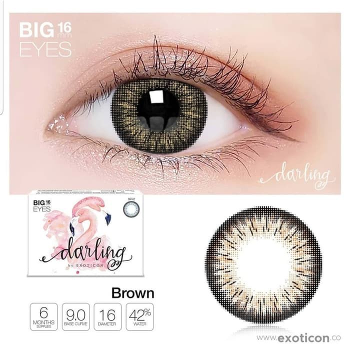 Softlens Darling Big Eyes 16mm by X2 EXOTICON-BROWN