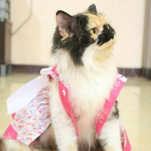 Dress princess motif bunga untuk kucing dan anjing / baju kucing imut / dress size S M L XL