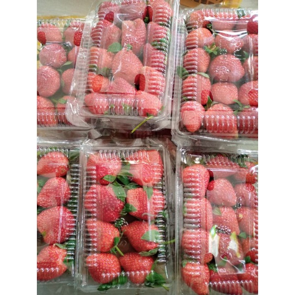 

Strawberry Organik