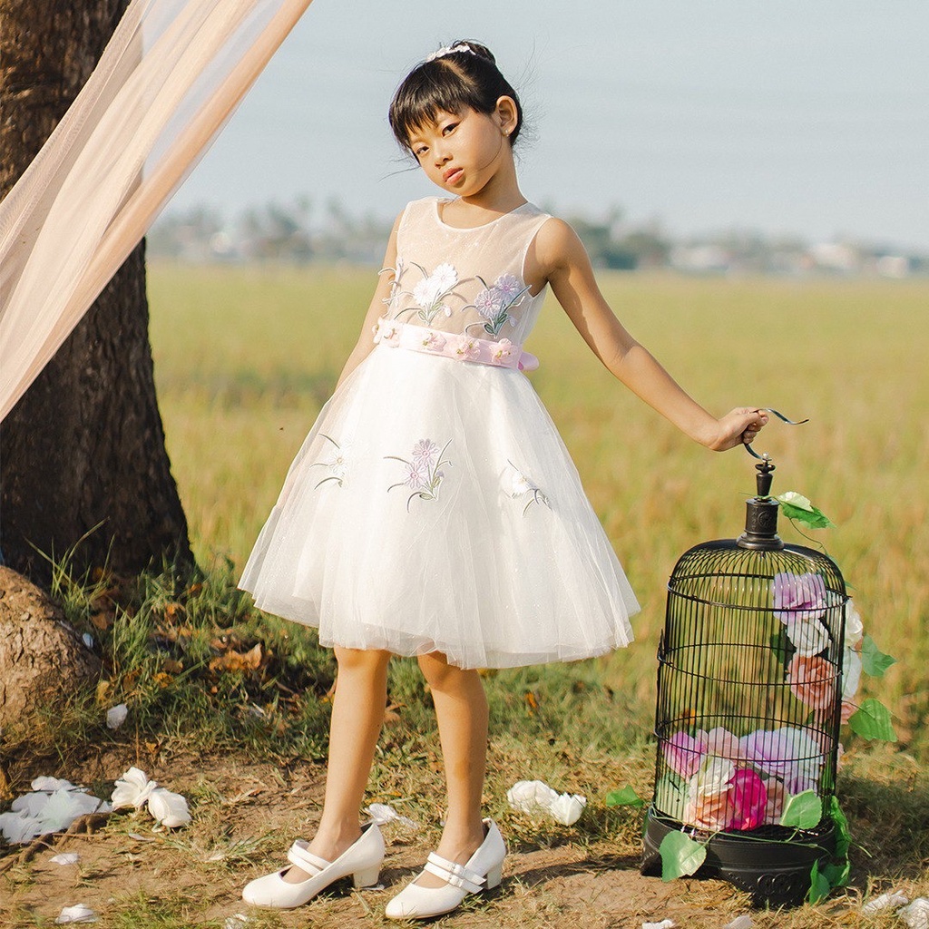 Brianna Baju Anak Perempuan Dress Anak Transparan Glitter Motif Impor STL OFFICIAL (BM01)