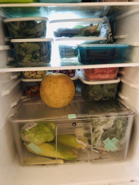 Frenzy Food Container