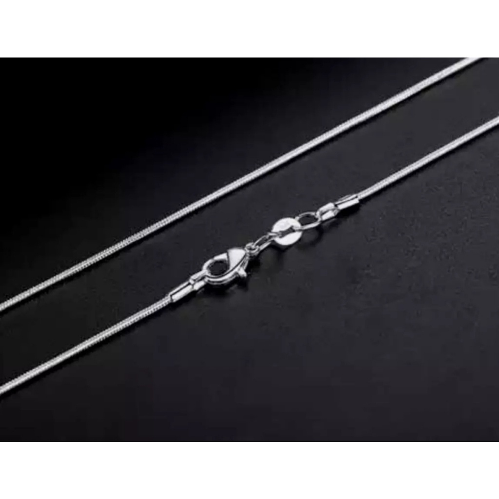kalung belut bulat silver titanium