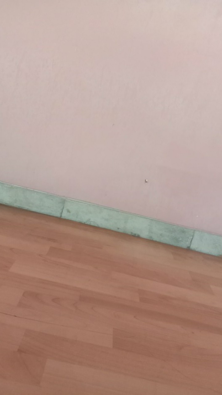 Hlokh886 Pembersih Sponge Cuci Piring 2 Sisi Spons Cuci Serbaguna Catty Spon Cuci Piring Sabut Busa