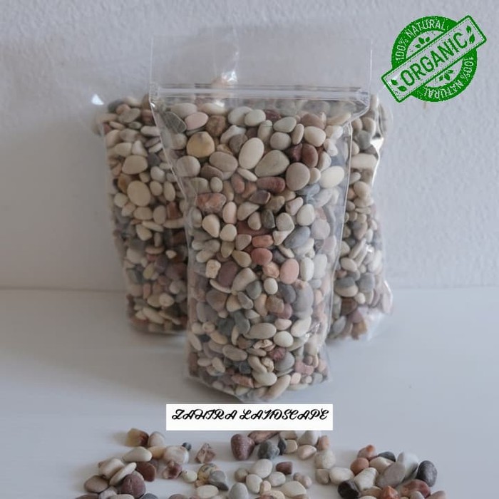 Batu Hias Koral Multi Warna Natural- Batu Hias Tanaman Pot Repack 1kg