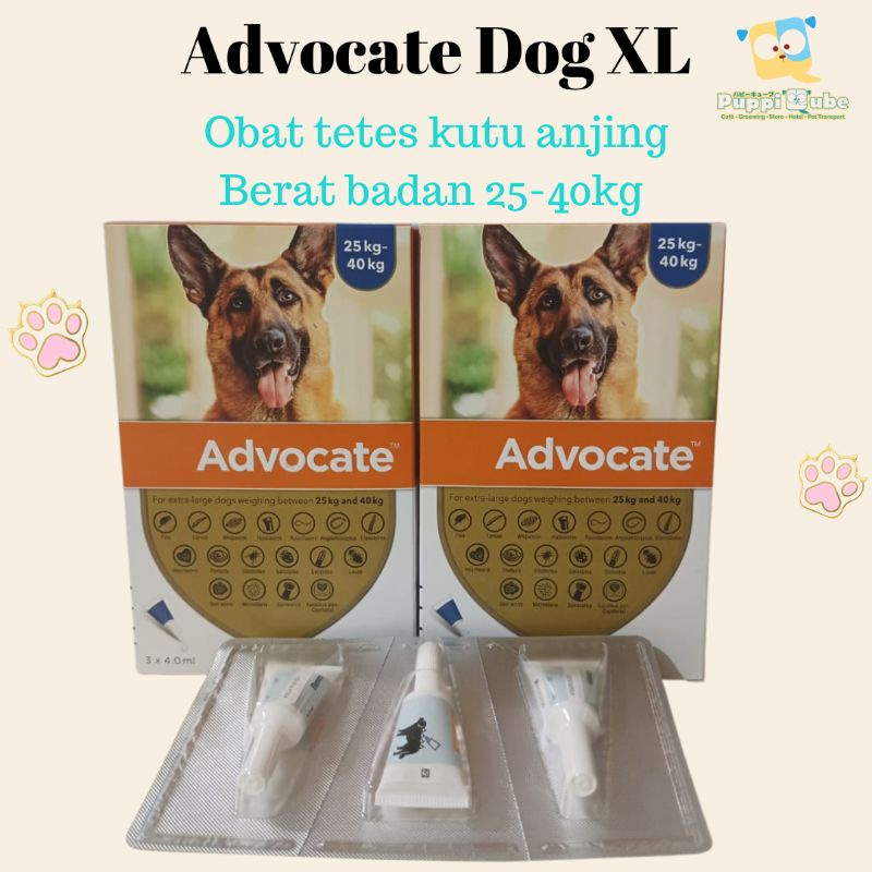Advocate Dog XL 25-40kg - obat kutu tetes anjing per tube