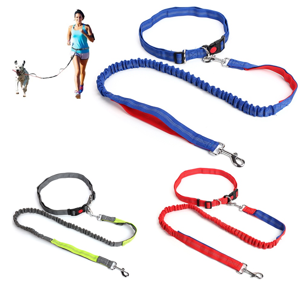 Tali Tuntun Anjing Elastis Adjustable Untuk Lari / Jogging