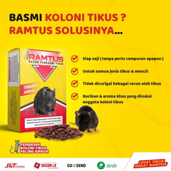RAMTUS Umpan Jebakan Tikus Paling Ampuh