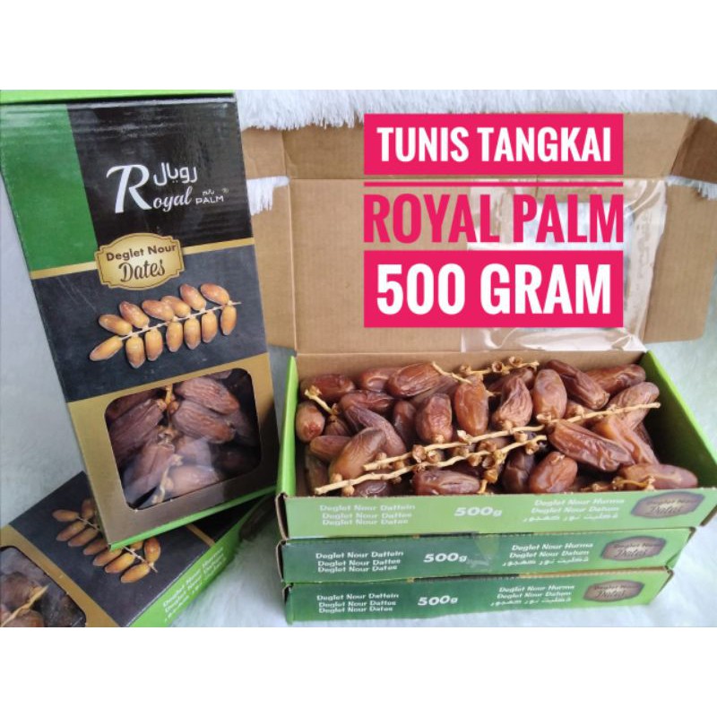 

kurma tunis tangkai royal palm