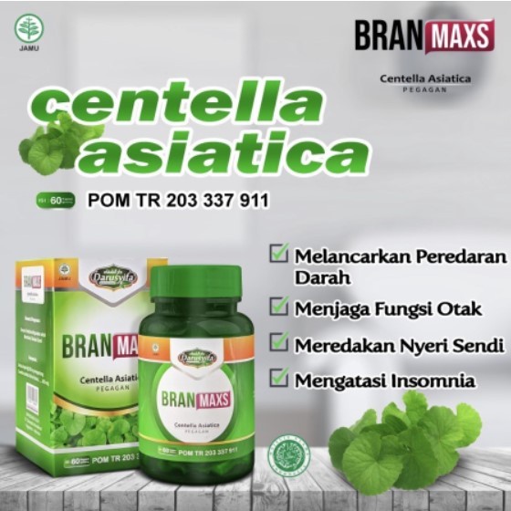 Branmaxs Darusyifa Bran Maxs Kapsul Smart Brain Ekstrak Pegagan untuk Kecerdasan Anak