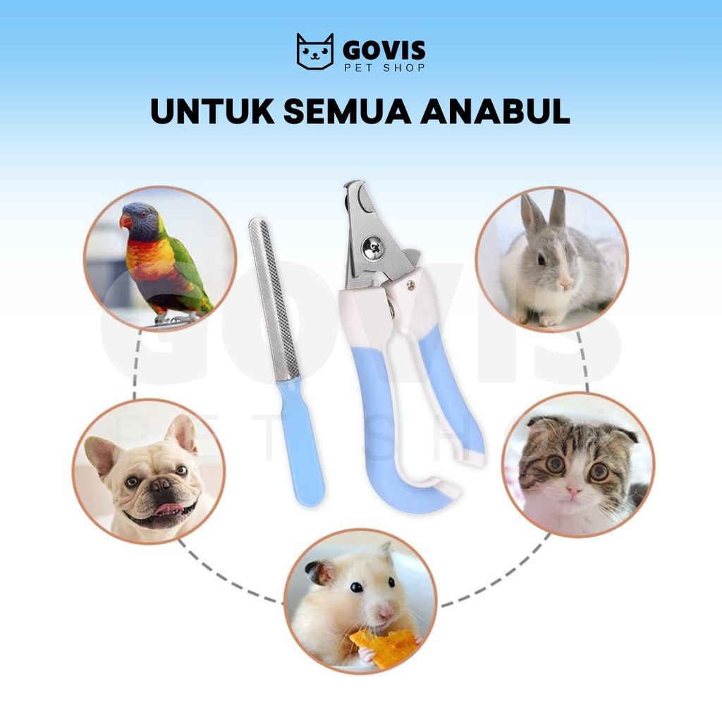 Gunting Kuku Kucing Premium Satu Set Pet Nail Clipper Stainless Steel