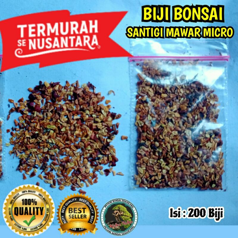 Biji Santigi Mawar Micro Garansi Termurah