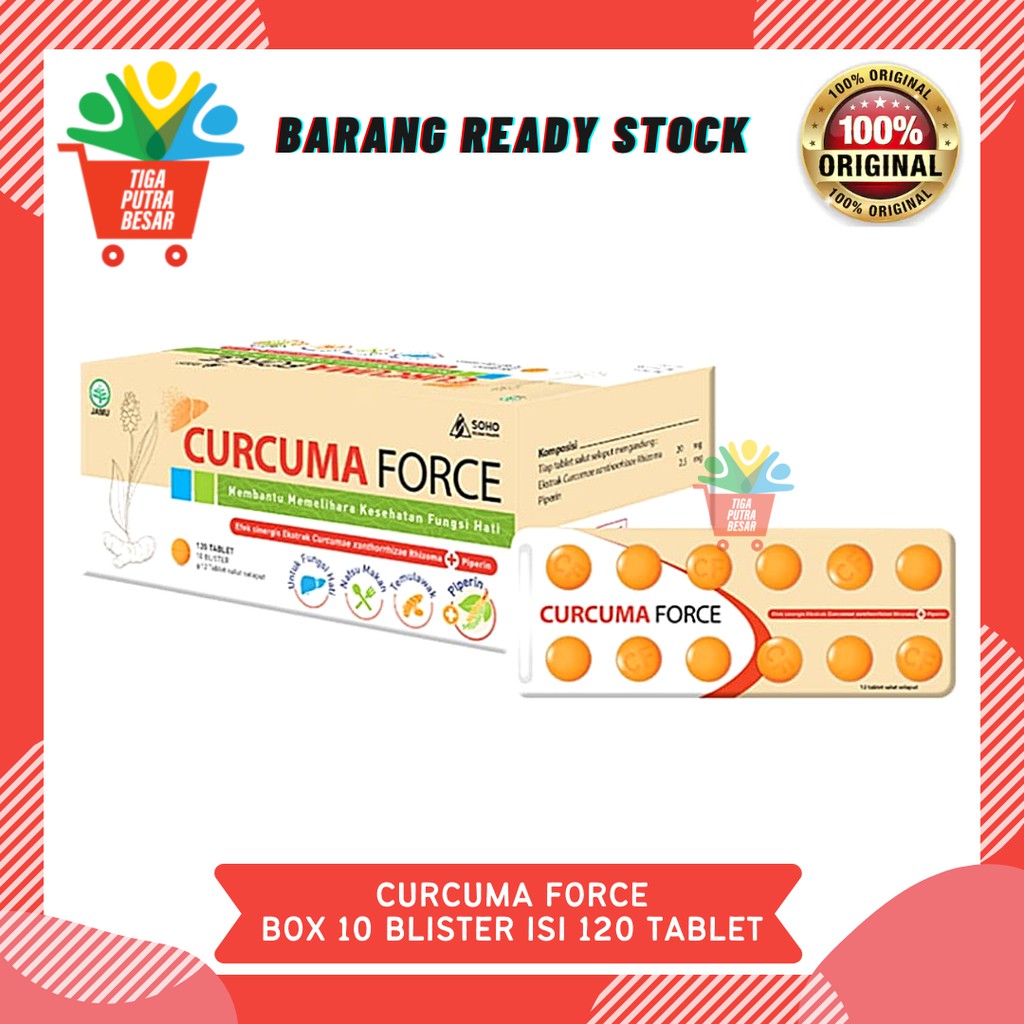 CURCUMA FCT/FORCE BOX 10 BLISTER ISI 120 TABLET