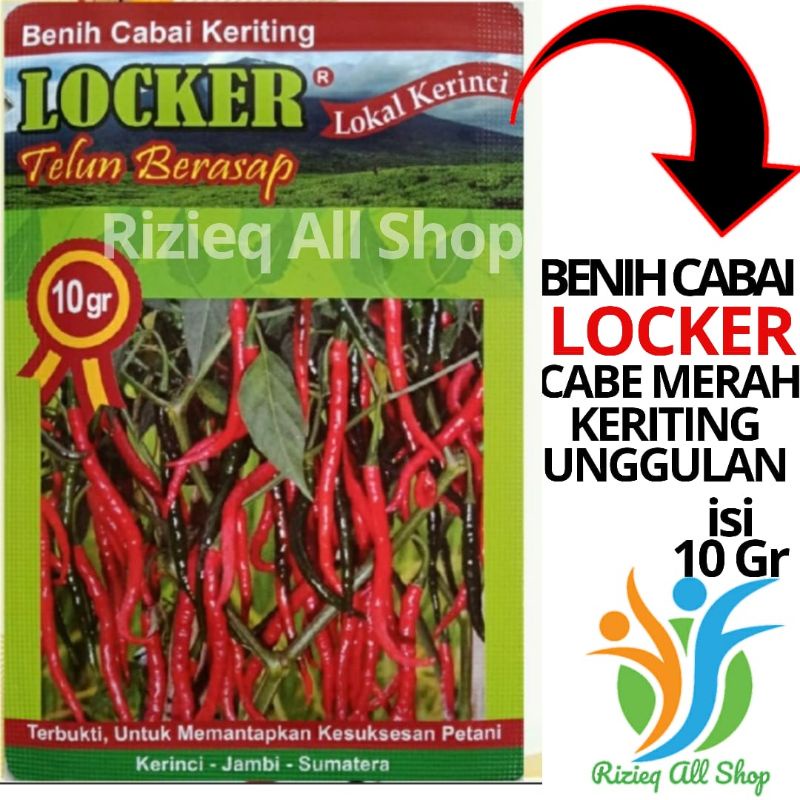 Benih Cabai Keriting LOCKER isi 10 Gr Bibit Cabe Keriting Unggulan
