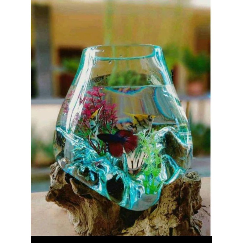 AQUARIUM IKAN CUPANG - / AQUARIUM AKAR KAYU / GLASS ON WOOD