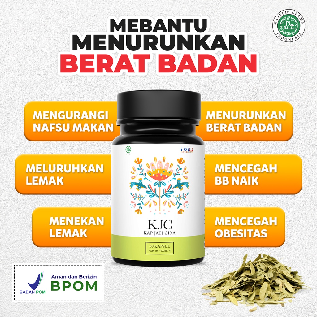 KJC Kapsul Jati Cina Herbal Ekstrak Daun Original Obat Pelangsing Diet