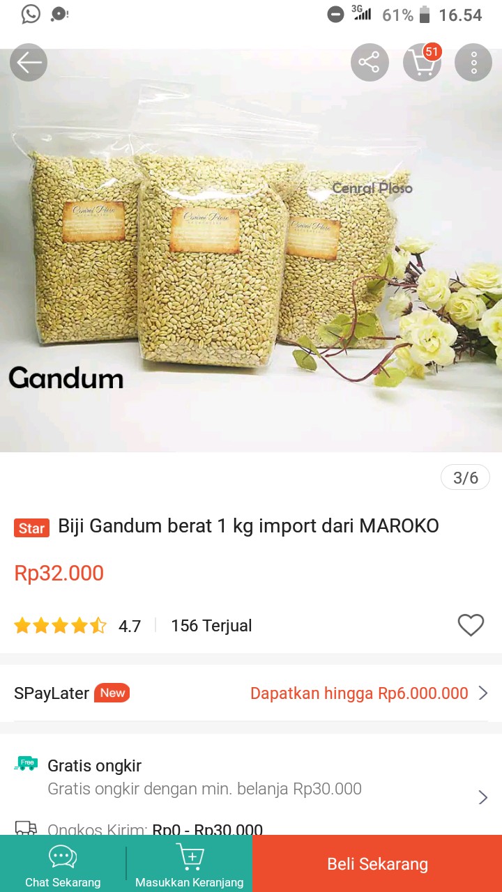 Biji Gandum Berat 1 Kg Import Dari Maroko