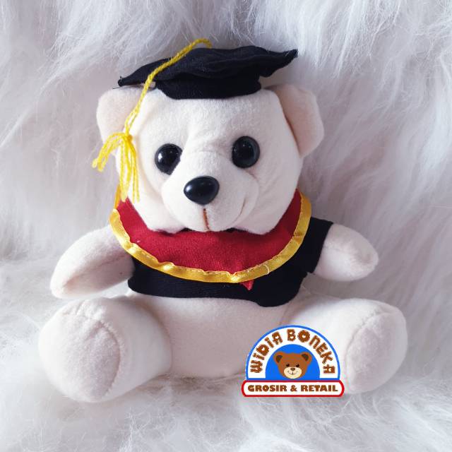 Boneka Wisuda Karakter SNI