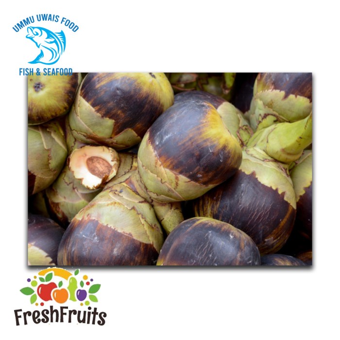 

Buah Lontar Berkualitas - 1 Buah