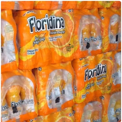 

FLORIDINA /CTN