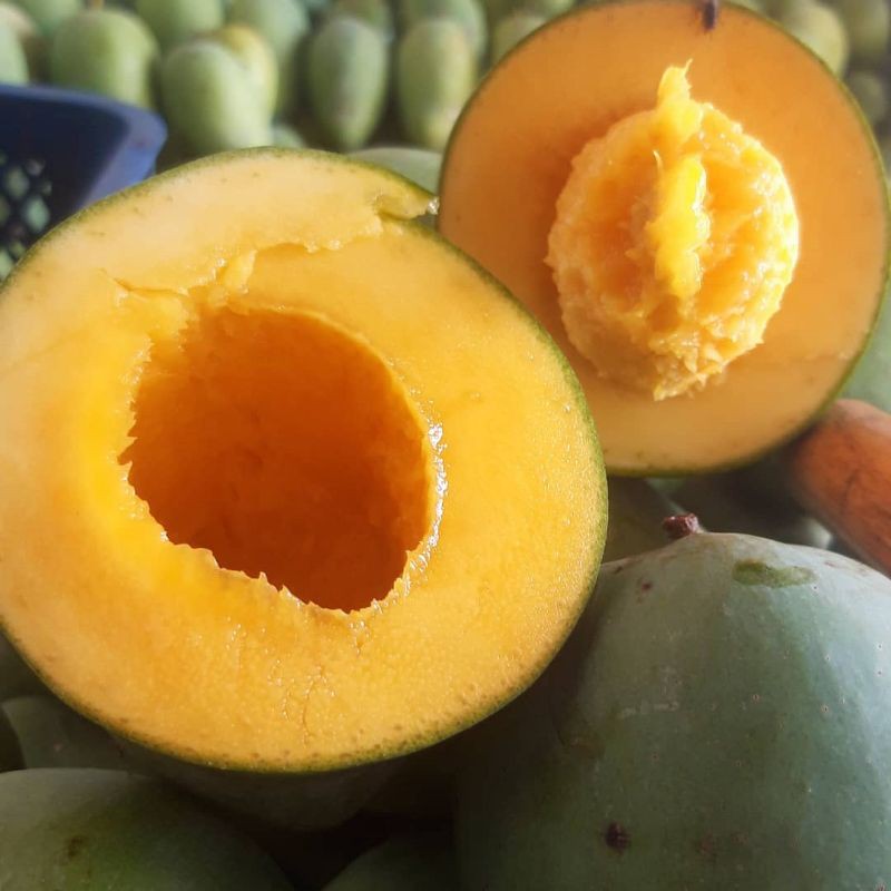 Mangga Alpukat Bangil super dus ±5kg