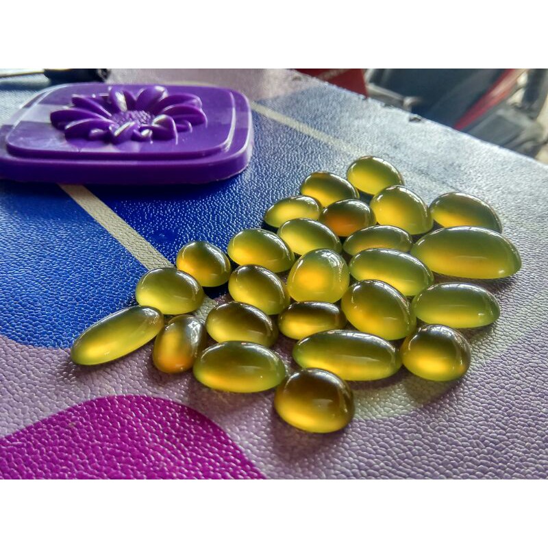 

biosolaracehborongan25pcs