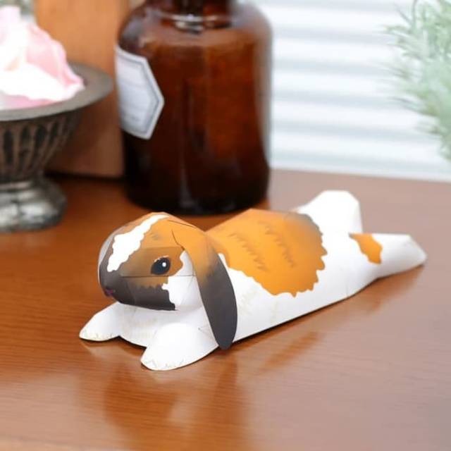 Holland Lop Papercraft