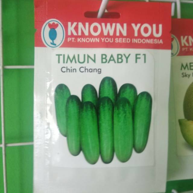 Benih Timun Baby F1 CHIN CHANG isi 45 biji