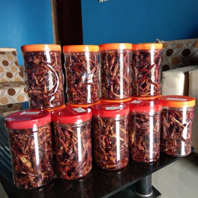 

Belalang goreng
