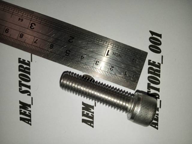 Baut L M12 x 45 (4.5cm) stainless 304