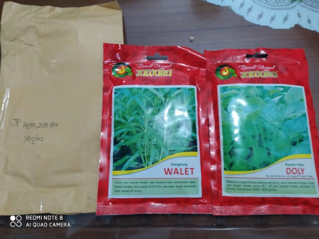 Isi 100 Gram Bibit Bayam Hijau Doly | Benih Bayam | Bibit Sayuran | Bibit Unggul Jawara
