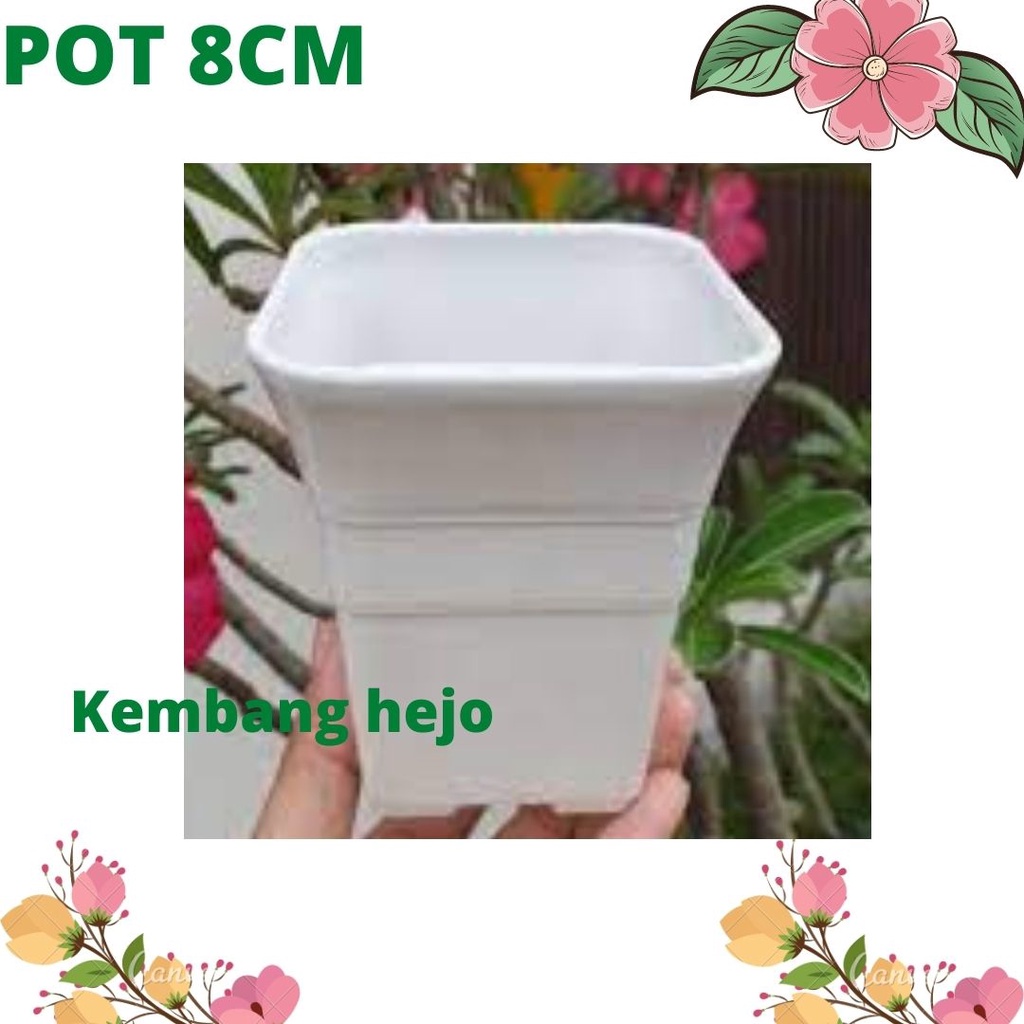 POT BATIK 8CM putih pot bunga kecil kotak tinggi mirip sofi pot kaktus-POT KOTAK KAKTUS SENSE MURAH